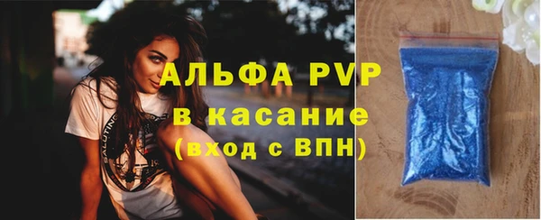 круглые Тайга