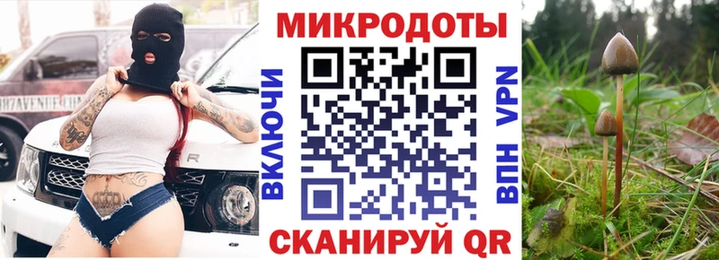 Галлюциногенные грибы прущие грибы  Порхов 